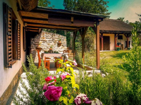 Wild Boar Cottage - Romantic getaway Badacsonytomaj